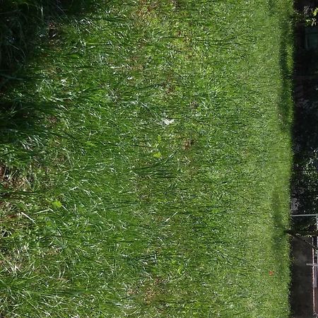 Apartment For Holidays In พูลา ภายนอก รูปภาพ