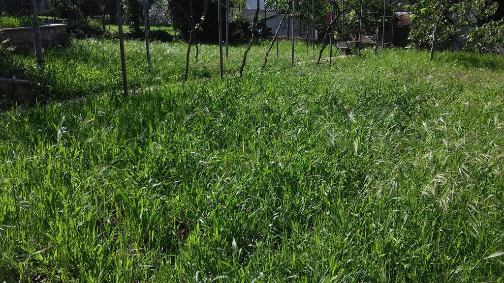 Apartment For Holidays In พูลา ภายนอก รูปภาพ